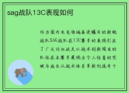 sag战队13C表现如何